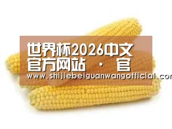 产品名称五