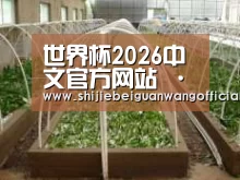 环境展示五