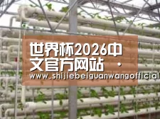 环境展示六