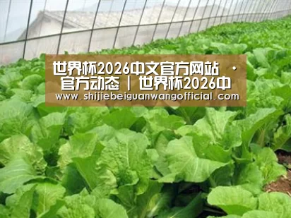 种植基地一