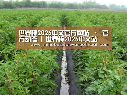 种植基地三