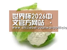 产品名称九
