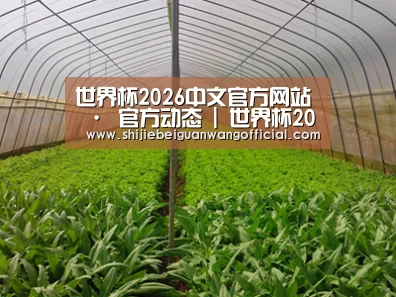 种植基地四