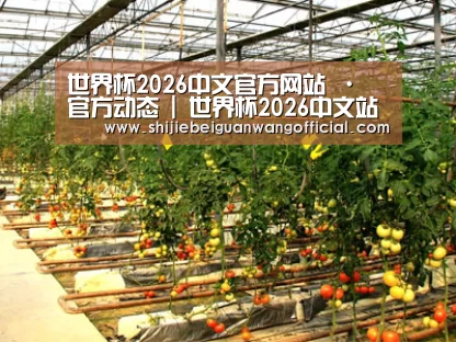 种植基地二