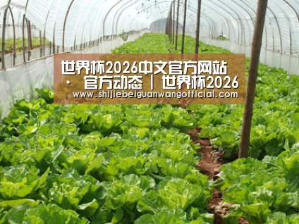 种植基地五