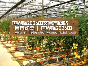 种植基地二(图1)