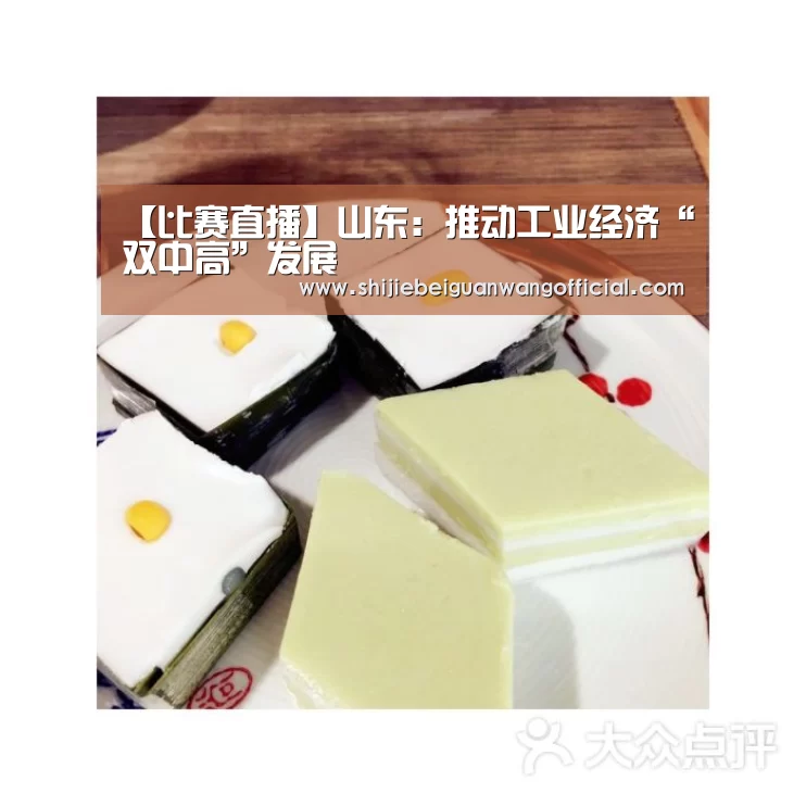 【比赛直播】山东:推动工业经济“双中高”发展(图1) 世界杯官网