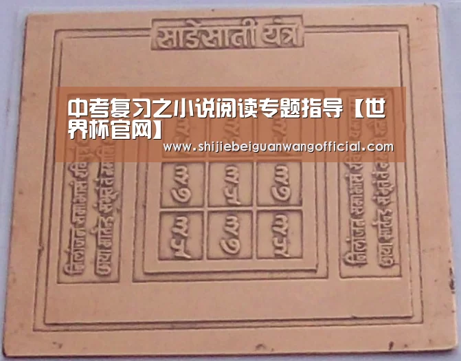 中考复习之小说阅读专题指导【世界杯官网】(图4) 比赛直播