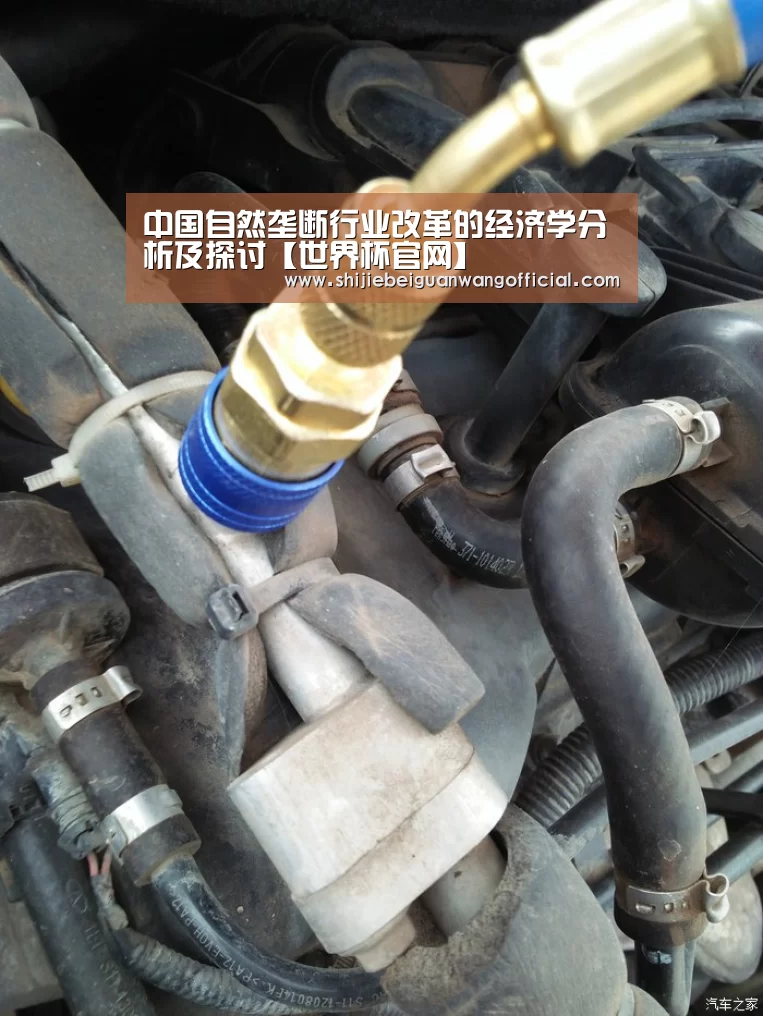 比赛直播