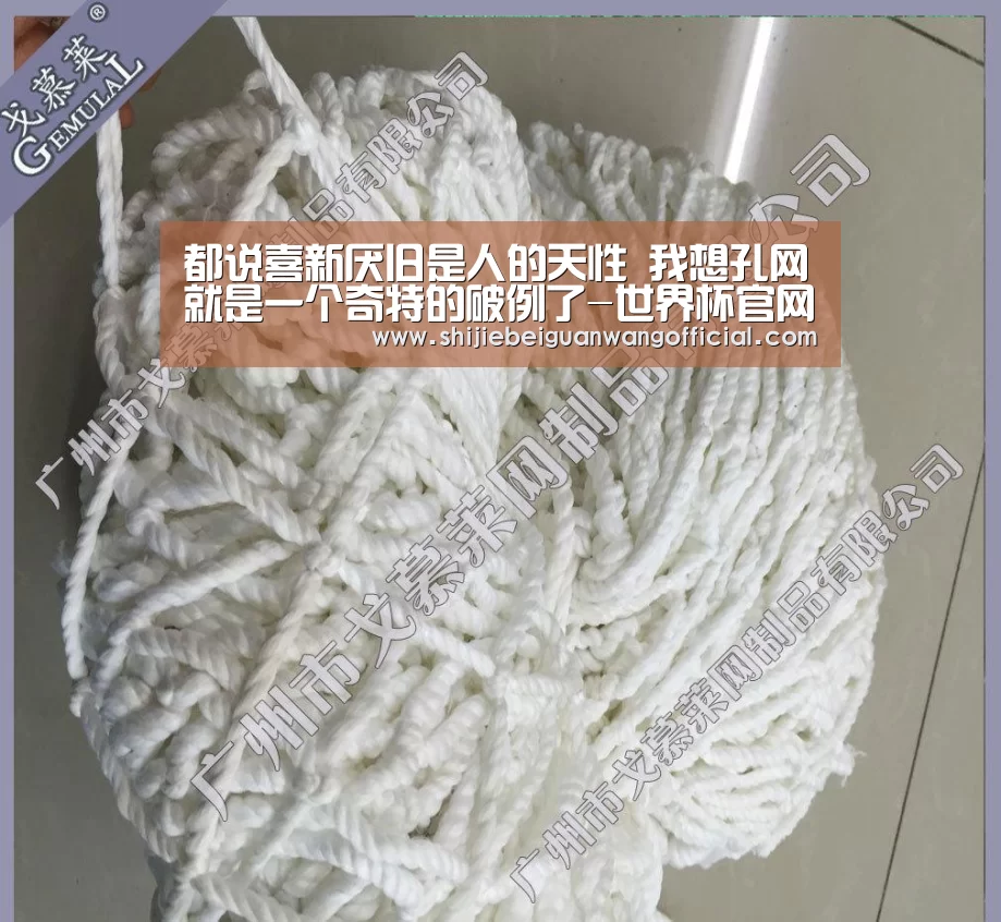 世界杯官网
