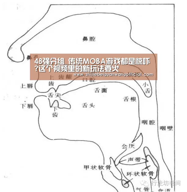 48强分组_传统MOBA游戏都是惊吓?这个视频里的新玩法要火(图1) 比赛直播