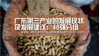 广东第三产业的发展现状及发展建议:48强分组(图3) 比赛直播
