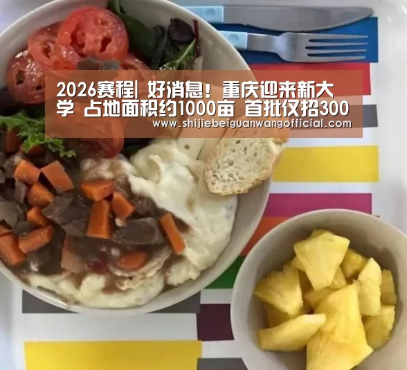 2026赛程|
好消息!重庆迎来新大学 占地面积约1000亩 首批仅招3000学生(图1) 48强分组