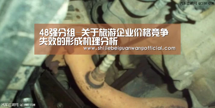 48强分组-关于旅游企业价格竞争失效的形成机理分析(图3) 2026赛程