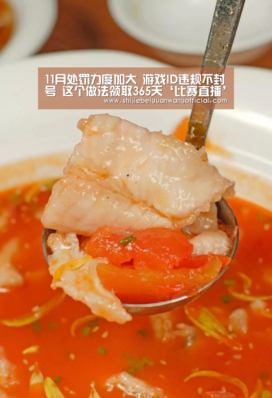 世界杯官网