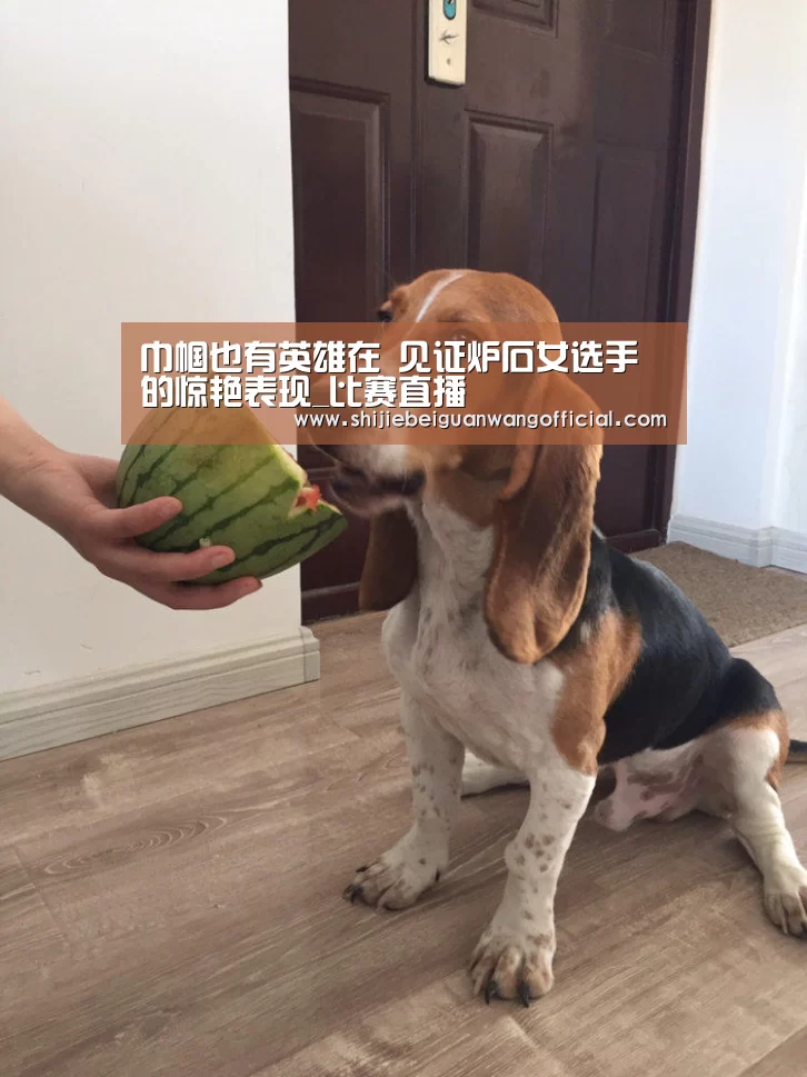巾帼也有英雄在 见证炉石女选手的惊艳表现_比赛直播(图1) 比赛直播